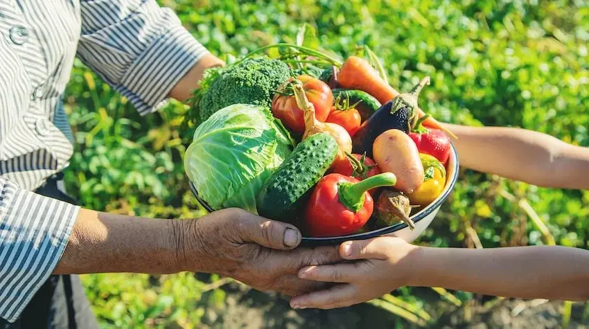 Agricultura Bellver